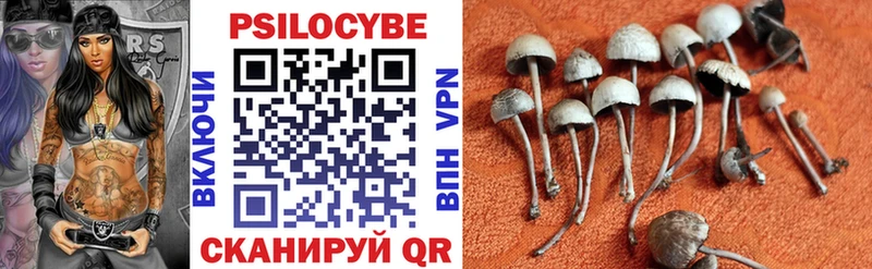Купить закладки  Пестово  Галлюциногенные грибы Psilocybine cubensis 