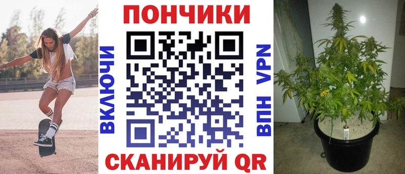 Бошки марихуана марихуана  Купить  Пестово 
